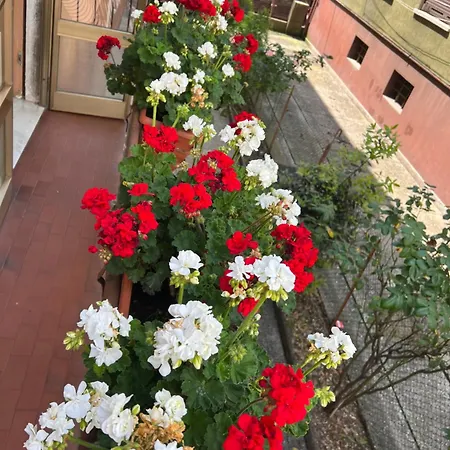 Casa Di Sara Apartment
